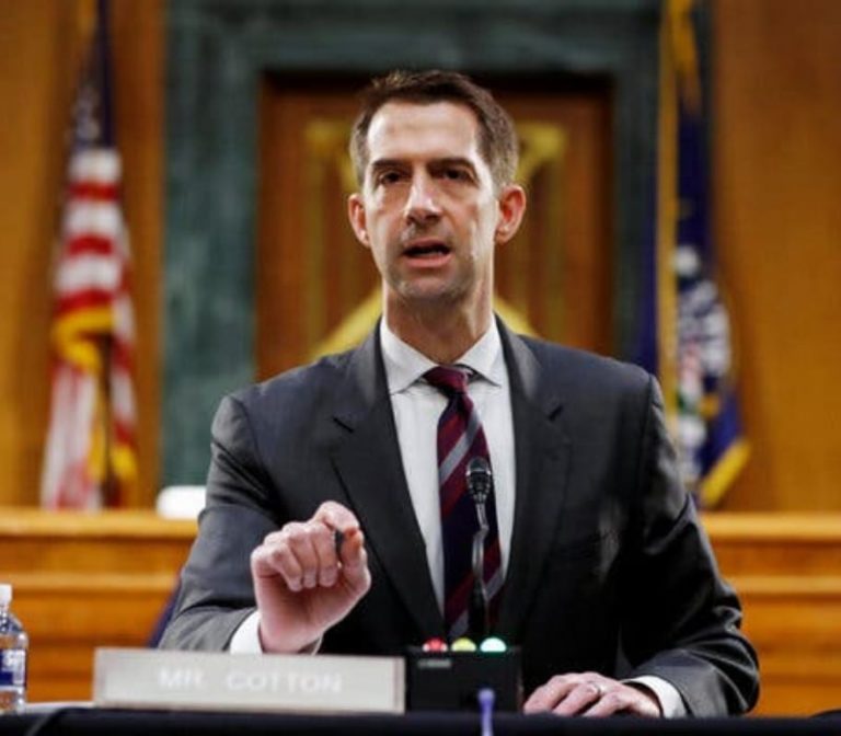 Tom Cotton Net Worth, Wiki, Bio, Age, Height, Wife, Family